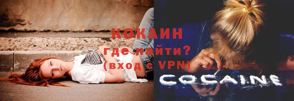 mdpv Козловка