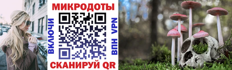 Купить закладки  Аркадак  Псилоцибиновые грибы MAGIC MUSHROOMS 